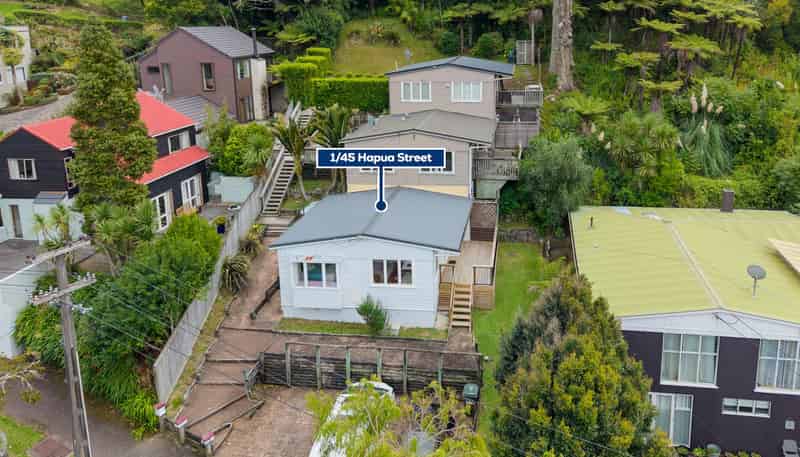 1/45 Hapua Street, Remuera