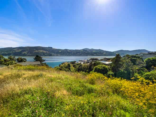 26B Bayne Terrace, Macandrew Bay