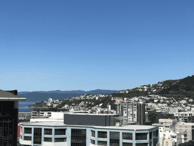 1402A/111 Dixon Street, Te Aro