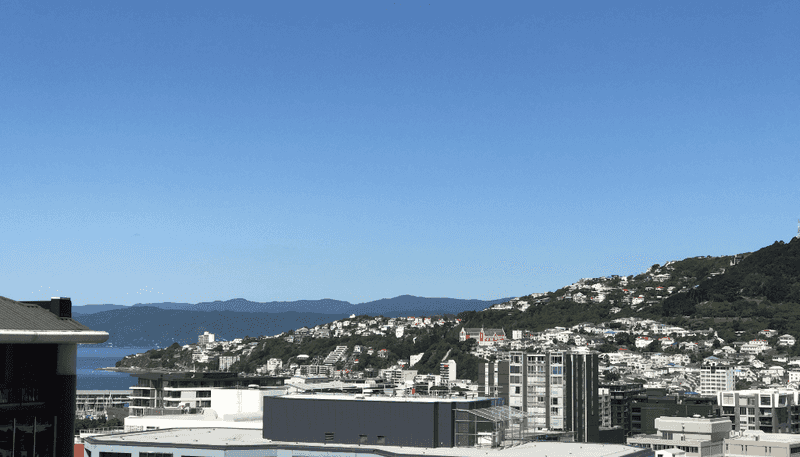 1402A/111 Dixon Street, Te Aro