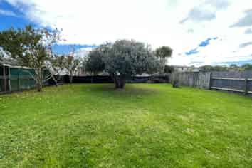 3 Albert Street, Pukekohe