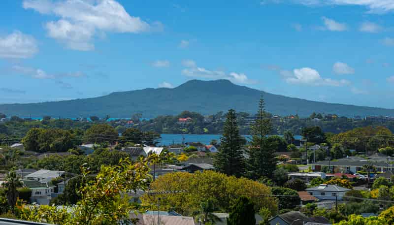 39B Forrest Hill Road, Milford