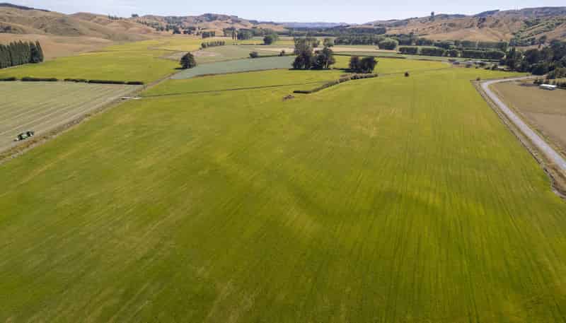 1231 Longbush Road, Carterton