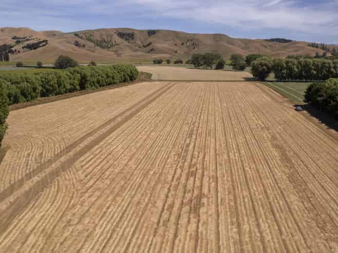 1231 Longbush Road, Carterton