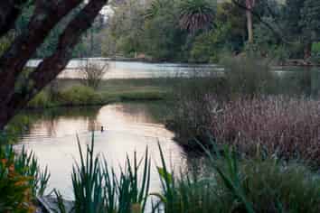 75A&B Ngapuhi Road, Remuera