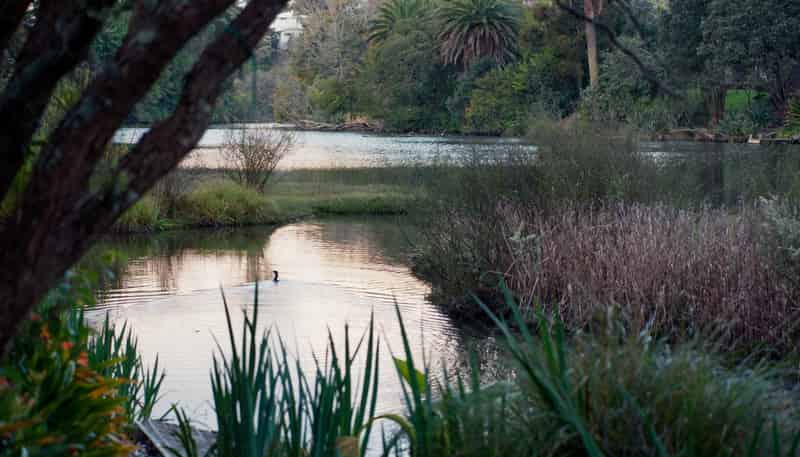 75A&B Ngapuhi Road, Remuera