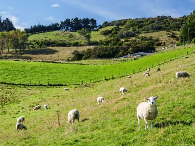 61 Elwyn Crescent, Green Island