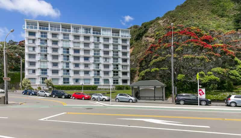 12/370 Oriental Parade, Oriental Bay