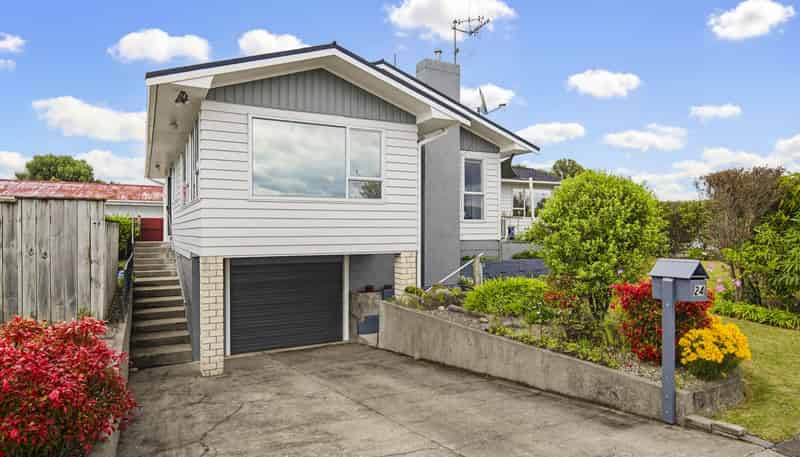 24 Featherston Street, Levin