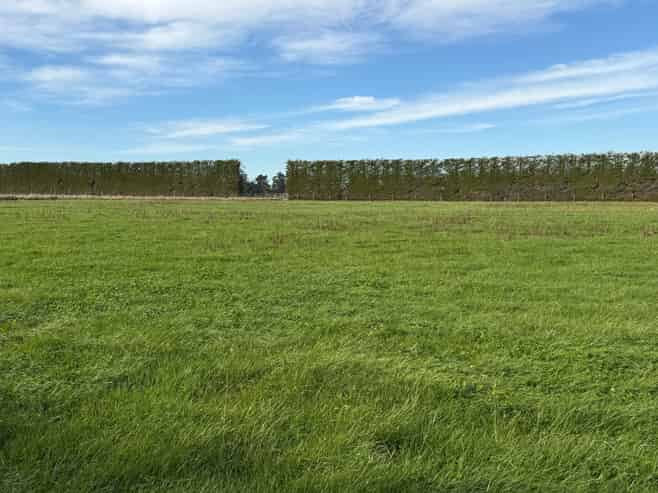  Thomsons Crossing Road, Thomsons Crossing