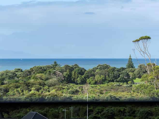 19 Humenga Place, Long Bay