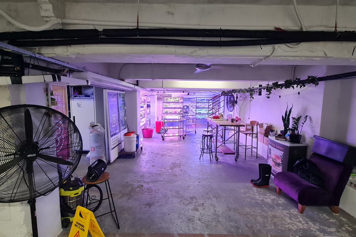 Affordable basement space - prime location - Vista 2