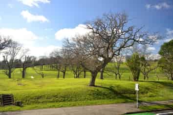 69 Carlton Gore Road, Newmarket