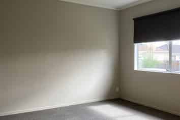 158a Nixon Street, Hamilton East