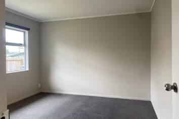 158a Nixon Street, Hamilton East