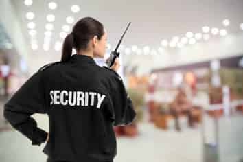 Established Security Patrol Business