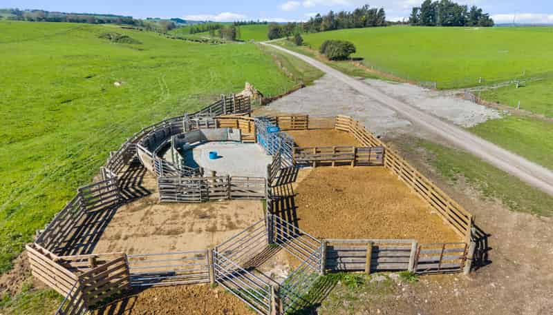 243 Matthew Road, Temuka
