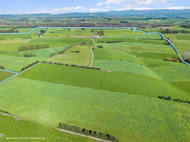 243 Matthew Road, Temuka