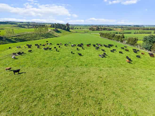 243 Matthew Road, Temuka