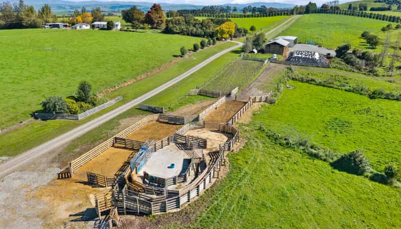 243 Matthew Road, Temuka