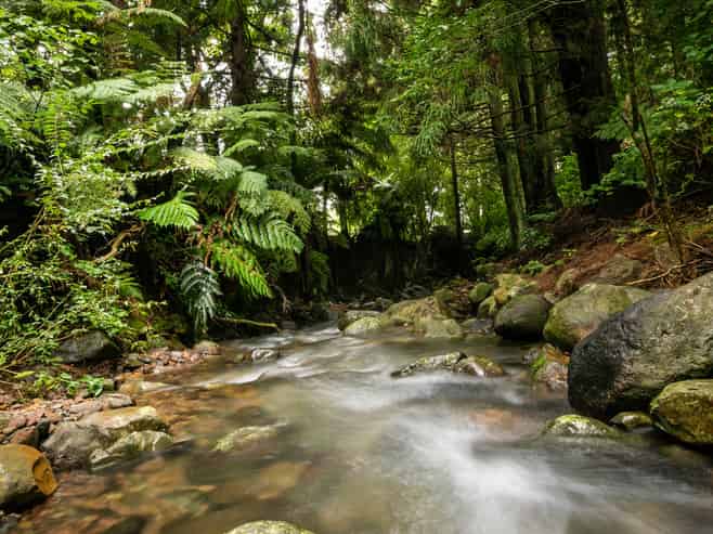 257 Willoughby Road, Katikati