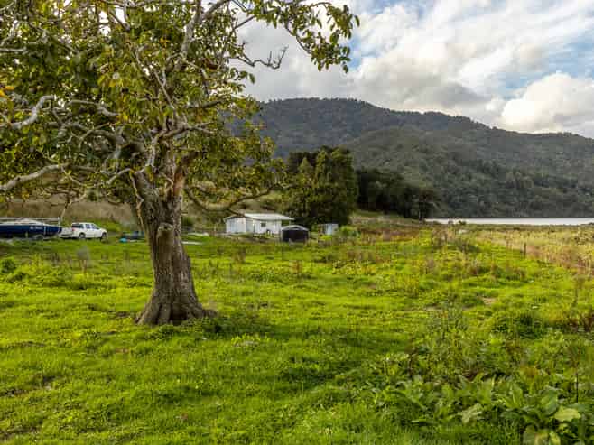 884 Queen Charlotte Drive, Linkwater