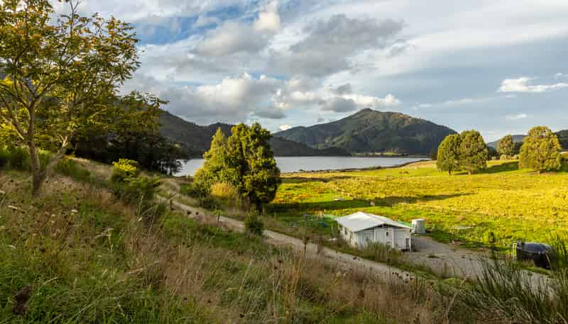 884 Queen Charlotte Drive, Linkwater