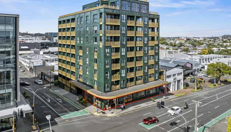 G09/20 Williamson Avenue, Grey Lynn