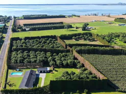 244 Beach Road, Katikati