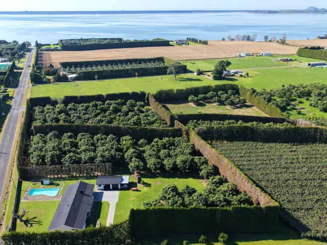 244 Beach Road, Katikati