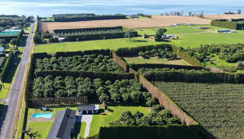 244 Beach Road, Katikati