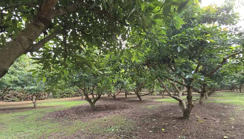 244 Beach Road, Katikati