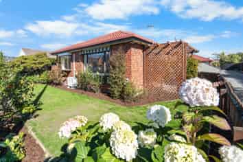 1/183 Colombo Street, Sydenham