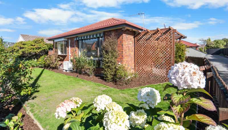 1/183 Colombo Street, Sydenham