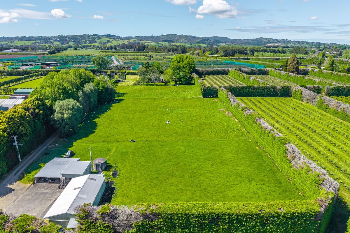 Prime Ardmore Investment Opportunity - Pogled 5