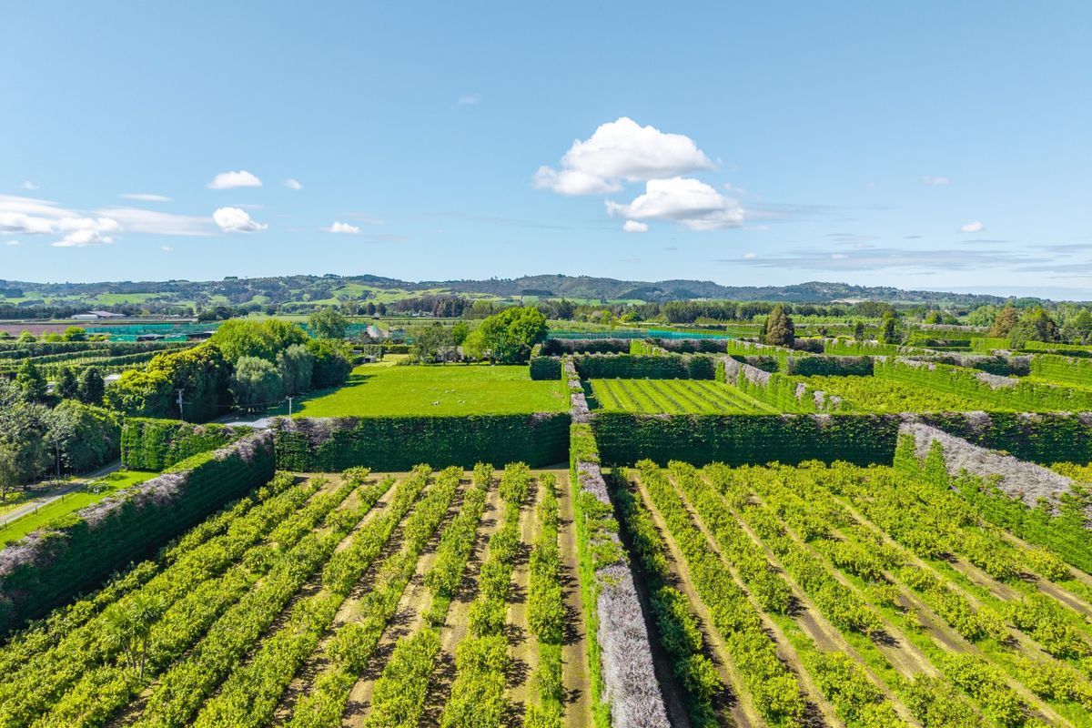 Prime Ardmore Investment Opportunity - Več