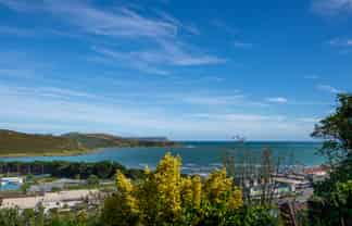 19 Walker Avenue, Paremata