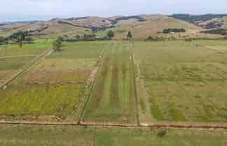  Back Miranda Road, Miranda