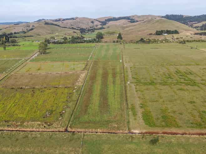  Back Miranda Road, Waitakaruru