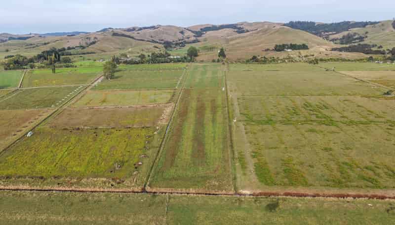 Back Miranda Road, Waitakaruru
