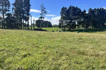 Near 741 Upland Road, Egmont Village