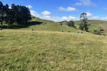 Near 741 Upland Road, Egmont Village