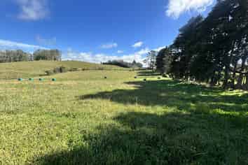 Near 741 Upland Road, Egmont Village