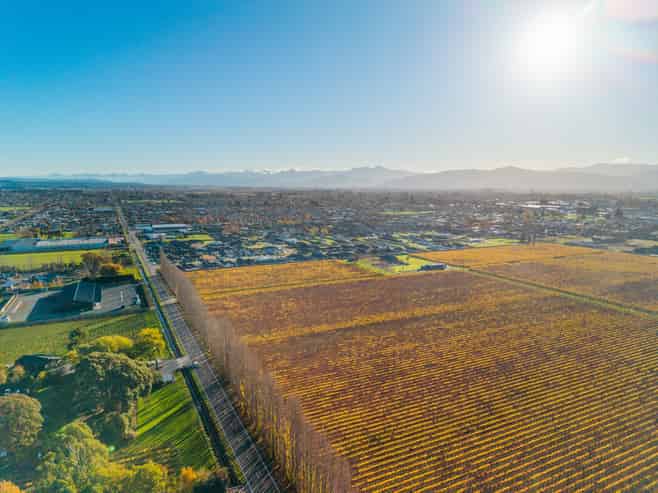 11 Whareatea Road, Redwoodtown