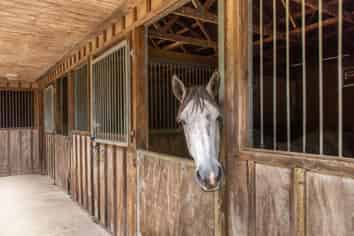 6 Ellett Road, Karaka