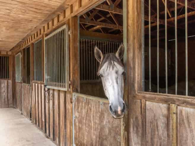 6 Ellett Road, Karaka