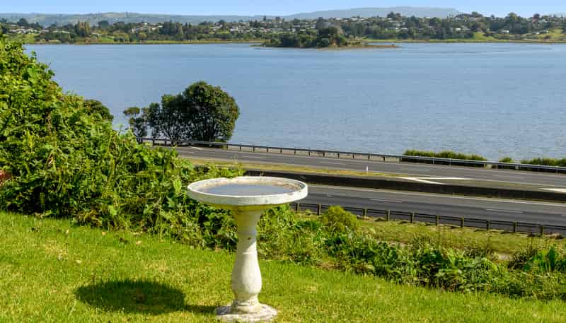 4/146 Spring Street, Tauranga