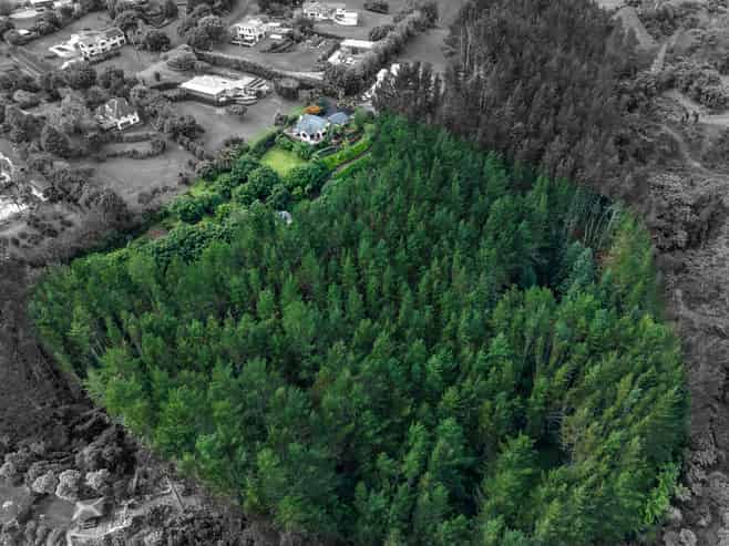 14 Tupelo Place, Ohauiti
