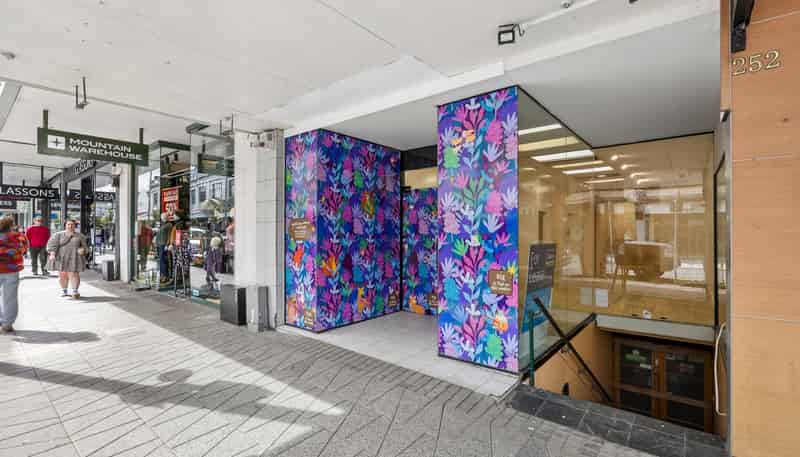 250 George Street, Dunedin Central