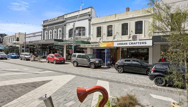 250 George Street, Dunedin Central